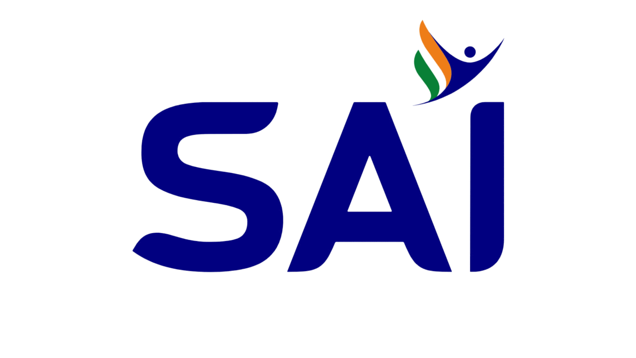 Paint Tool SAI Logo